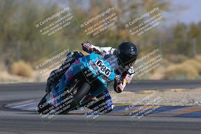 media/Feb-04-2023-SoCal Trackdays (Sat) [[8a776bf2c3]]/Turn 2 (1140am)/